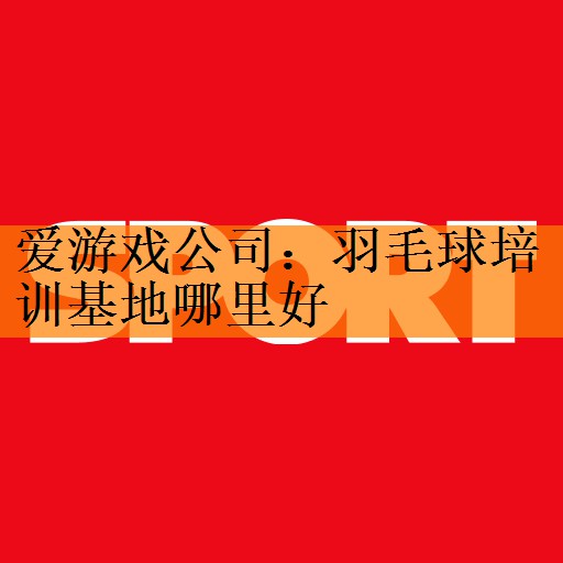 爱游戏公司：羽毛球培训基地哪里好