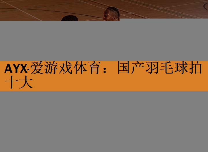 AYX·爱游戏体育：国产羽毛球拍十大